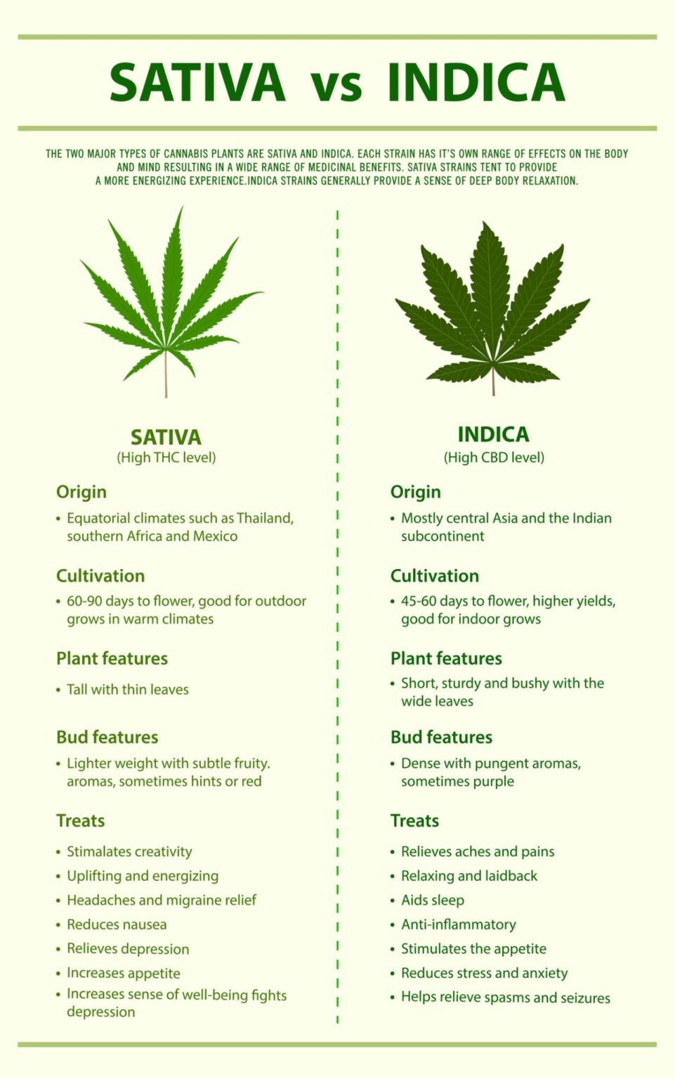 Discover the Joy of Indica vs Sativa: Effects and Uses